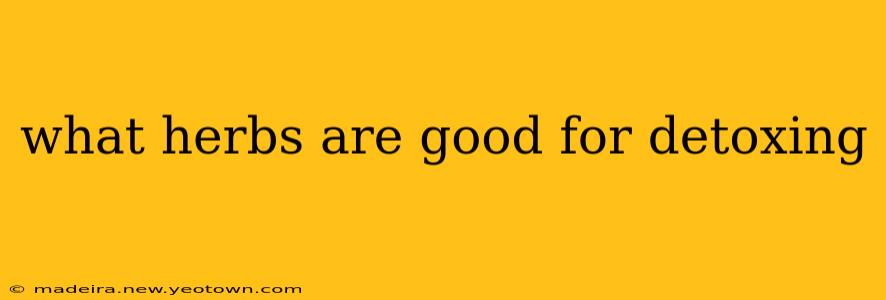 what herbs are good for detoxing