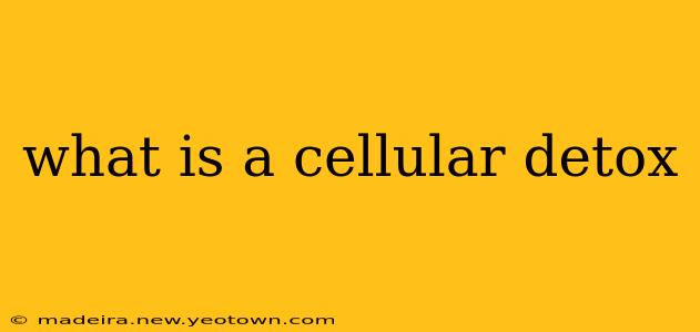 what is a cellular detox