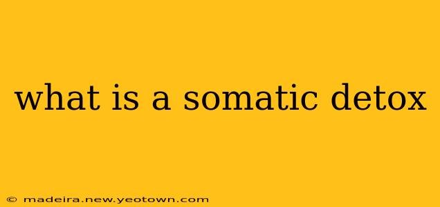 what is a somatic detox