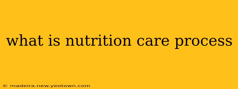 what is nutrition care process