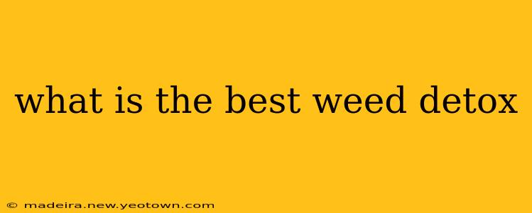 what is the best weed detox