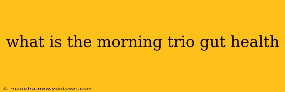 what is the morning trio gut health
