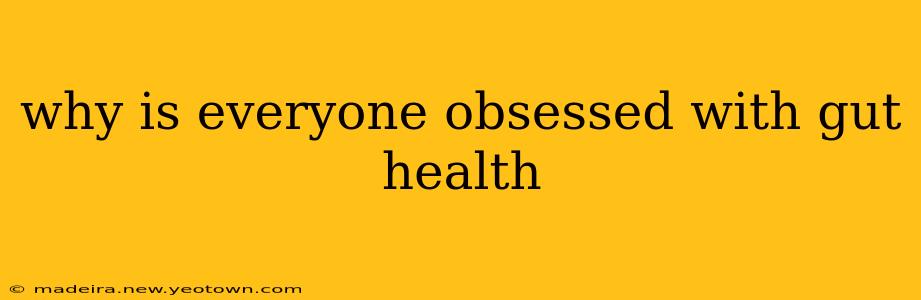 why is everyone obsessed with gut health