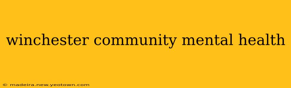 winchester community mental health