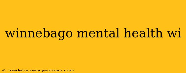 winnebago mental health wi