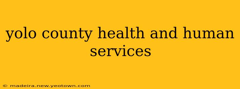 yolo county health and human services