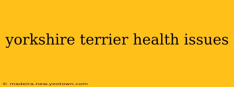 yorkshire terrier health issues